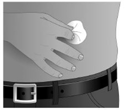 Step 7 (Step7bw)