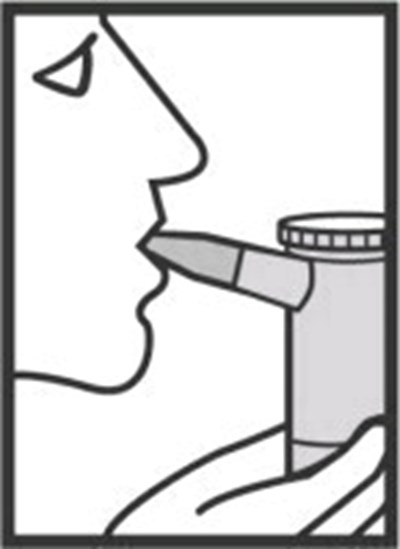 ifu-fig-6 - bro01 0036 10