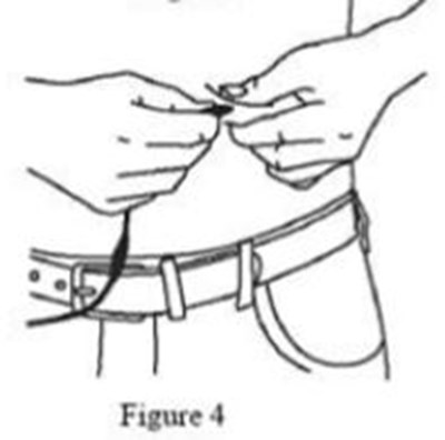 Figure 4 (Figure4)