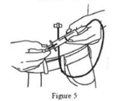 Figure 5 (Figure5)
