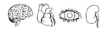 Patient Information Diagram (Image 3)
