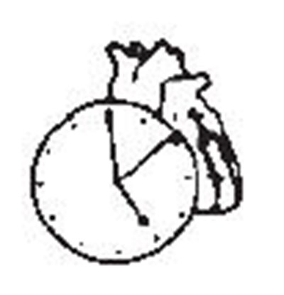 Patient Information Diagram (Image 7)