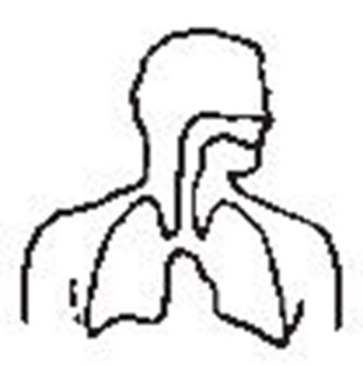 Patient Information Diagram (Image 9)