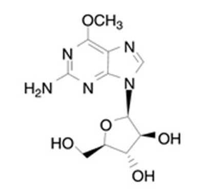 1 (Nelarabine Injection 1)