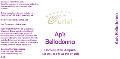 Apisbelladonnaampule (Apisbelladonnaampule)