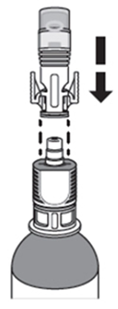 Figure 1 (Zusduri 12)