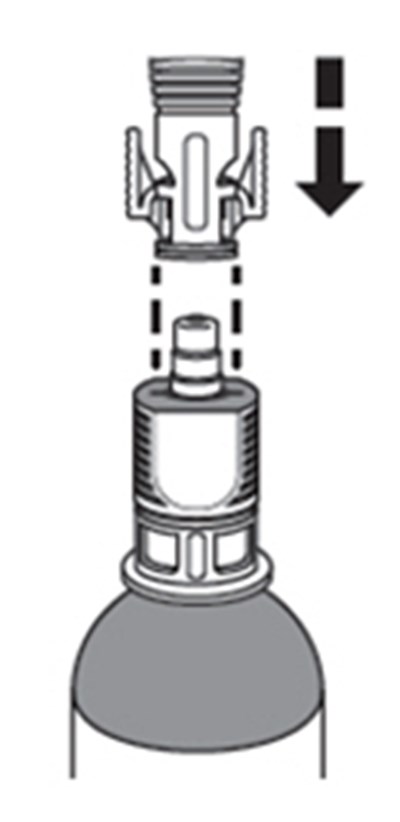 Image (Zusduri 34)