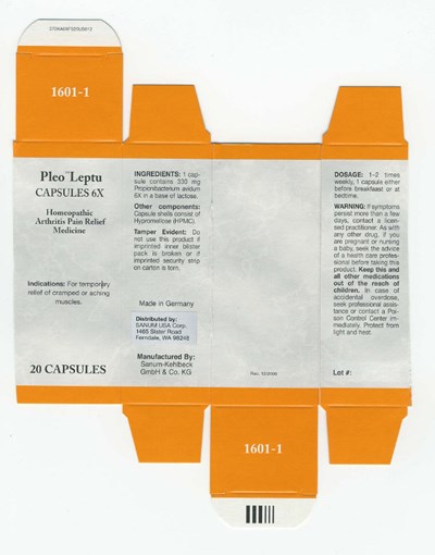 Principal Display Panel (Capsule Carton)
