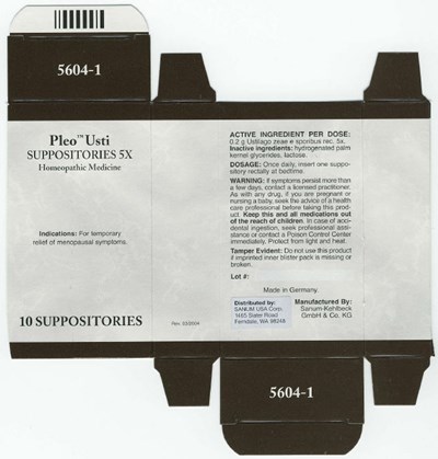 Principal Display Panel (10 Suppositories Carton)