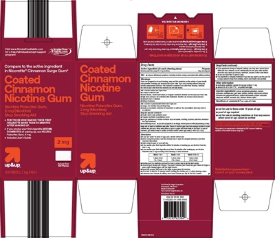 Coated-cinnamon-nicotine-gum (Coated Cinnamon Nicotine Gum)
