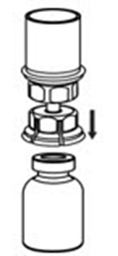Figure 4 (Berinert 04)