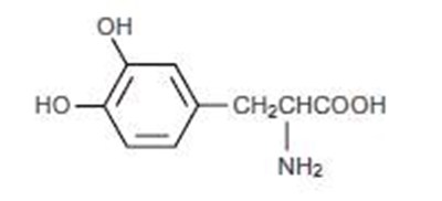 0c2b9363-figure-02 (0c2b9363 Figure 02)