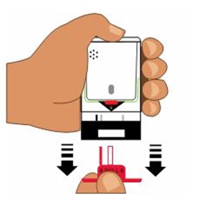 Figure C (Auvi Q 04)
