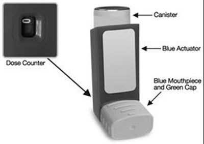 Image of Figure 1 - dulera 04