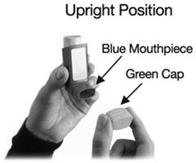 Image of Figure 2 - dulera 05
