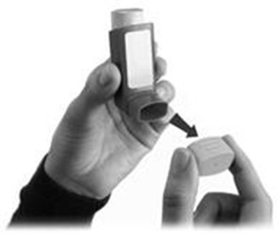 Image of Figure 3 - dulera 06