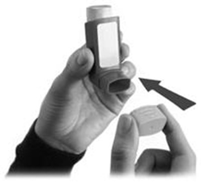 Image of Figure 5 - dulera 08