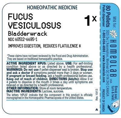 IMAGE OF TUBE LABEL - hlab genlabel fucus vesicul