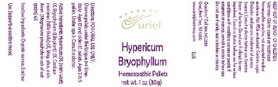 Hypericumbryophyllumpellets