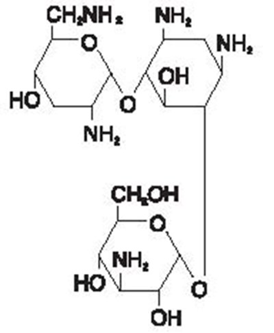tobramycin-chemical - tobramycin chemical