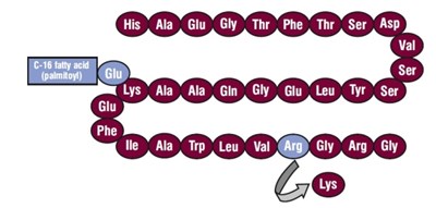 Figure 1 (3b5b3470 B3ac 4907 8e27 C31483bc5c8b 01)