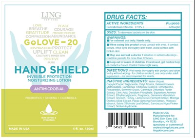 shield-01.jpg PRINCIPAL DISPLAY PANEL - 120 ml Bottle Label - shield 01