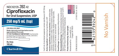 250 mg Label (Ciprofloxacin For Oral Susp 250 mg 5 mL Bottle Label)