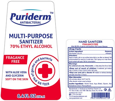 Principal Display Panel - 250 ml Bottle Label - puriderm 01