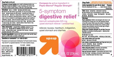 Bismuth Subsalicylate 525 mg (Peptic Relief Regular Strength Original Liquid 1)