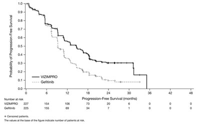 vizimpro-02.jpg Figure 1 - vizimpro 02