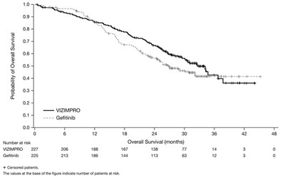 vizimpro-03.jpg Figure 2 - vizimpro 03