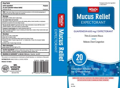 Guaifenesin 600 mg (Mucus Relief 600 mg Extended Relief Caplets 1)