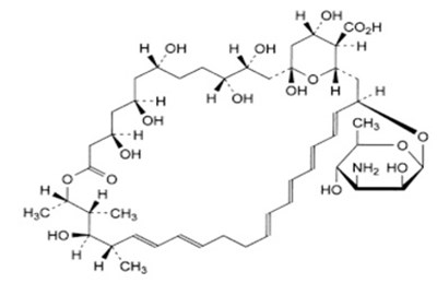 Image - aa7f80cf f14c 4161 86bc 1033d33c2e33 01