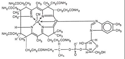 Struct-1 (Str 1)