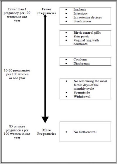 Chart (Medroxyprogesterone 03)