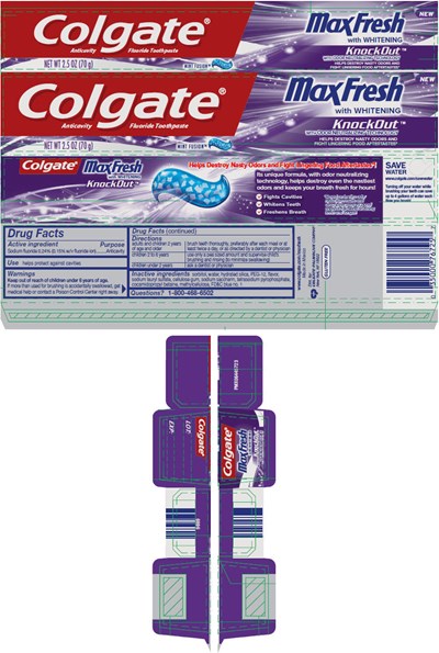 Principal Display Panel (70 g Tube Carton)
