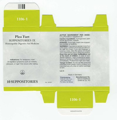 Principal Display Panel (10 Suppositories Carton)
