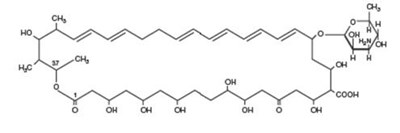 Nystatin Chemical Structure (Nystatin Chemical Structure)