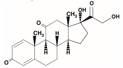 image description - prednisone tablet structure