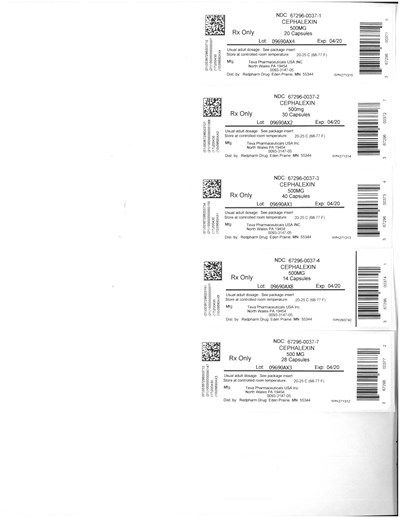 Label (Sdistributi19091212410 0001)