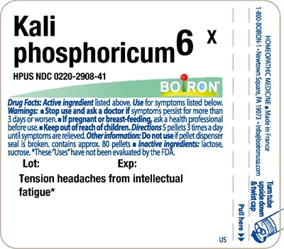 6x.jpg image - 6x