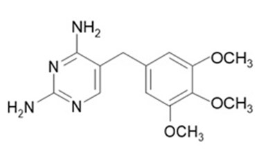 Molecular Structure (80ad4adc 72c3 4398 A639 3d6a6ae9ec17 01)