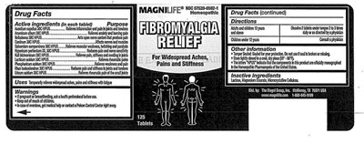 Fibromyalgia Relief (Mm1)