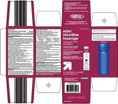 Mini Nicotine Lozenge Carton - image 06