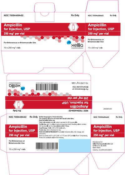 ampicillin-02.jpg PRINCIPAL DISPLAY PANEL - 250 mg Vial Carton - ampicillin 02