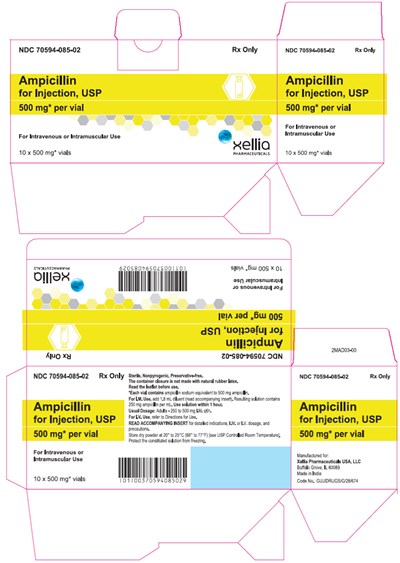 ampicillin-03.jpg PRINCIPAL DISPLAY PANEL - 500 mg Vial Carton - ampicillin 03