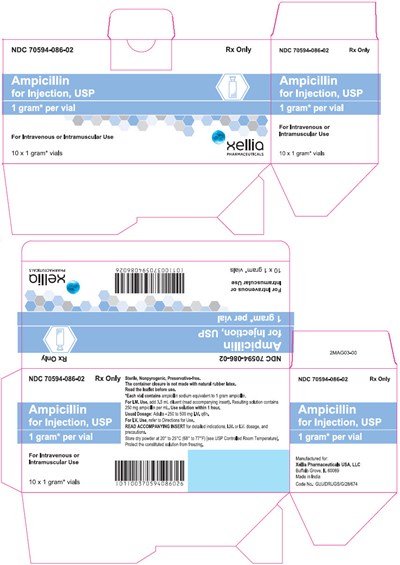 ampicillin-04.jpg PRINCIPAL DISPLAY PANEL - 1 gram Vial Carton - ampicillin 04