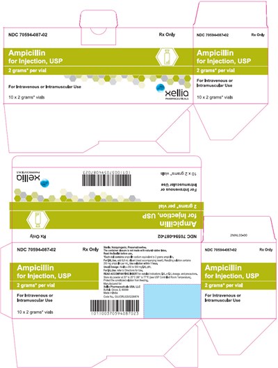 ampicillin-05.jpg PRINCIPAL DISPLAY PANEL - 2 gram Vial Carton - ampicillin 05