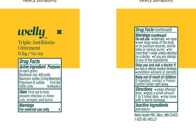 Principal Display Panel - Antibiotic Pouch Label - wel01 0000 01