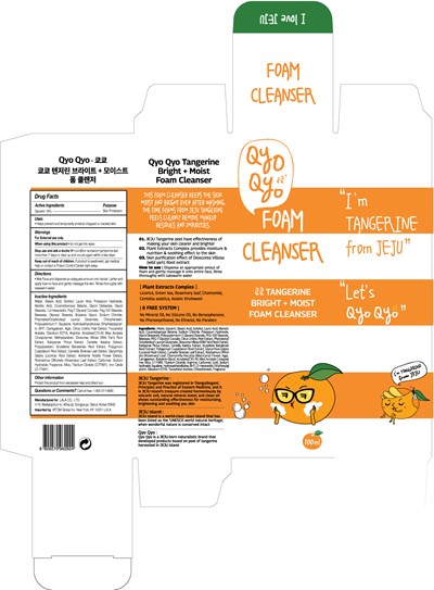 Foam Cleanser (Qyoqyo Foam Cleanser)